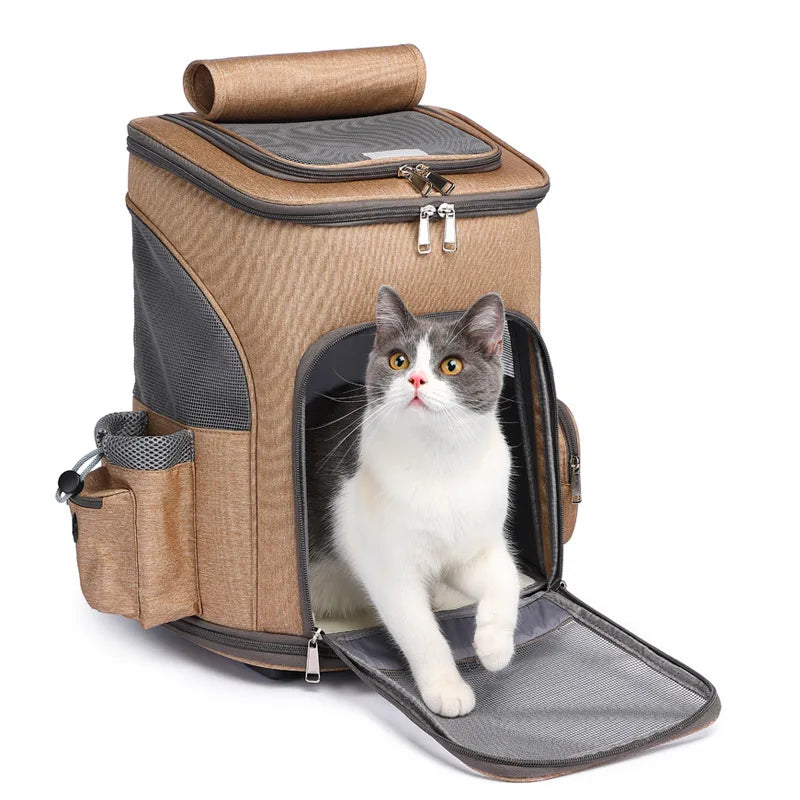 Cat sitting inside a brown pet carrier with a white and gray cat.