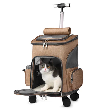 Pet carrier with a cat inside on a white background